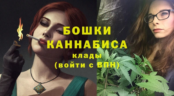 индика Белоозёрский