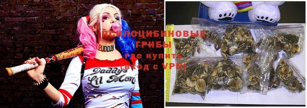 винт Майский