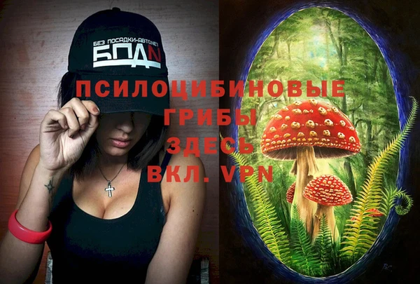 винт Майский